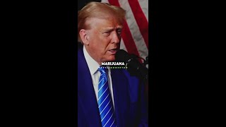 Will Donald Trump Legalize Medical Marijuana shorts donaldtrump [upl. by Ailimaj]