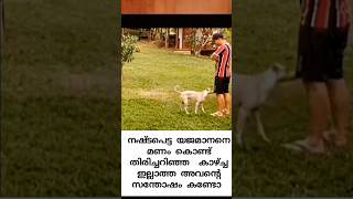 നീ എന്റെ എല്ലാമാണ്❤❤petdogpetdogstreetdogdog petdoglost pet doglover [upl. by Assiluy]