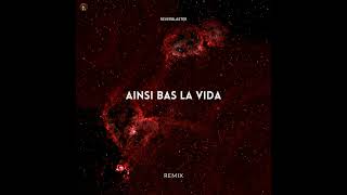 Ainsi Bas La Vida Remix [upl. by Sylirama]