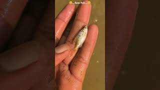 🥺Save fish and fish life 🥺savefish saveanimals fish youtubeshort help [upl. by Neala252]