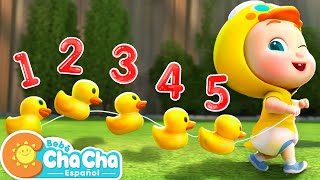 Cinco Patitos🦆  Aprender Números del 1 al 5  Bebé ChaCha Canciones Infantiles amp Videos para Niños [upl. by Yrahcaz]