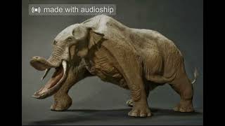 Amebelodon sound effects [upl. by Hawker]