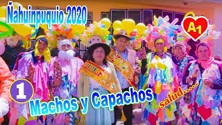 Ñahuinpuquio 2020  MACHOS Y CAPACHOS  Vol 1 [upl. by Tolliver]