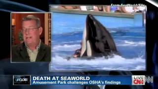 OHSA SeaWorld CNN interview David Kirby and Carol Ray flv YouTube [upl. by Ubald]