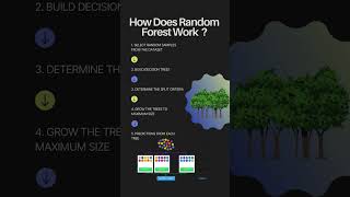 Random Forest Algorithm in Machine Learning education [upl. by Lupee]