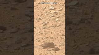 Perseverance Rover Sol 1330  Mars New 4k Video  Mars 4k Video  Mars In 4k  Mars shorts [upl. by Lrak]