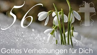 Gottes Verheißungen für Dich  Petrus 414  Videokalender 56365  Deutschland braucht JESUS [upl. by Lydnek]