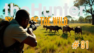 CAZANDO EN LAS PRADERAS DE EMERALD  TheHunter Call Of The Wild [upl. by Jephthah762]