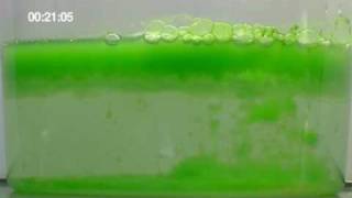 OriginOil Single Step Extraction™ of Oil from Algae  Timelapse [upl. by Susie548]