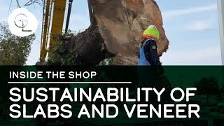 The Sustainability of Live Edge Slabs and Wood Veneer [upl. by Llenwahs632]