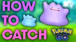 HOW TO CATCH DITTO in POKEMON GO NOVEMBER [upl. by Naujak333]