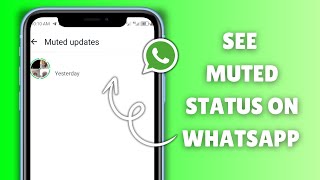 How to See Muted Status on WhatsApp Latest Update [upl. by Suoivatnom630]