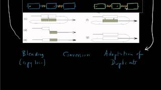 Forsdyke Evolution Academy 0142 Introns Defend Against Recombination [upl. by Aneekat]