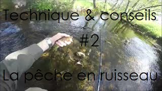 Technique et conseils 2 Pêcher la truite en ruisseau aux leurres [upl. by Laumas]