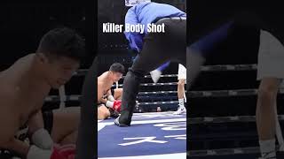 Killer Body Shot shorts youtubeshorts boxing fypviral [upl. by Surazal]