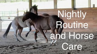 Horse Owner Nightly Routine Springtime Farm Chores Feeding Horses [upl. by Nosac]