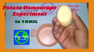 Potato Osmoscope experiment  Potato Osmosis  உருளைக்கிழங்கு ஆஸ்மாஸ்கோப் TAMIL AND ENGLISH  V  P [upl. by Trinatte]