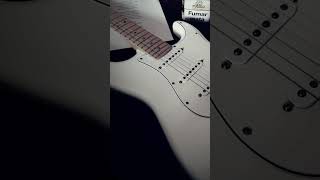 Robert Johnson  Ramblin on my mind cover [upl. by Alsi]