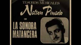 Nelson Pinedo y La Sonora Magtancera  Señora bonita [upl. by Cirri500]