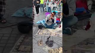 The Enchanting Music of Marrakechs Snake Charmer Morocco [upl. by Nelubez]