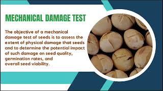 MECHANICAL DAMAGE ASSESMENT malachite green test DrSKavitha tnau coimbatore [upl. by Frohman]