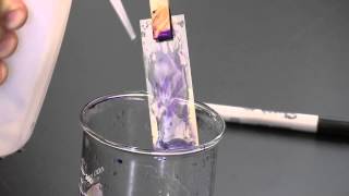 PlantEd Digital Learning Library  Gram Stain Procedure [upl. by Robers637]