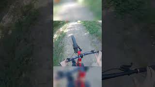 Flowline with nice Jumps mtb downhill bikelife mountainbike tricks trail flowline laddatrail [upl. by Midian543]