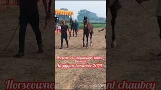 Nakand bacha owner Rajinikant chaubey dumari bihar horse sindhihorse horseracing horserider [upl. by Alekat]