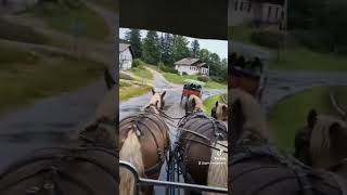 Les chevaux du saut du doubs Brenets travel [upl. by Airogerg]