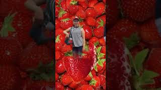 strawberry satisfying trending  yummylicious  asmr shortsvedio [upl. by Bryan786]