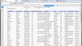 20 Libre Office  Calc Open Office  Calc Excel Tutorial  CountIf CountBlank [upl. by Nivan]