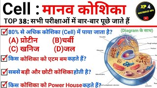 TOP 38 Cell  मानव कोशिका बारबार पूछे जाने वाले प्रश्न  Topic Wise Science  Biology GK cell [upl. by Kaleena682]