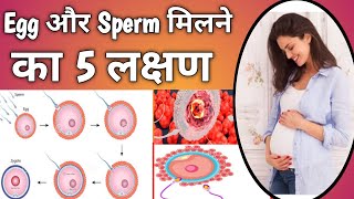 Successful Fertilization Symptoms in Hindi।Early Pregnancy symptoms।Pregnancy Ke Lakshan।preganancy [upl. by Salisbury]