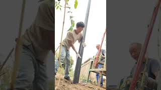 Installation of PVC pipe casing to water borehole [upl. by Araik]