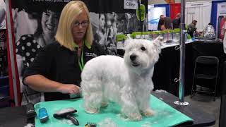 Westie Pet Trim with Tammy Siert [upl. by Nnaesor]