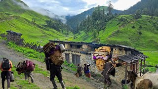 Very Beautiful Nepali Himalayan Village Life । Living Close Nature । Organic Village Life Rain Time [upl. by Akkimat738]