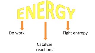 Campbells Biology Chapter 8 An Introduction to Metabolism [upl. by Kcirderf]