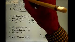 Nematocyst Structure and Function v3 9 24 [upl. by Atolrac]