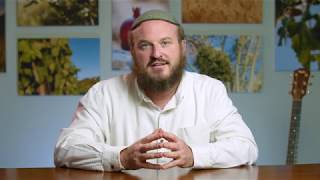 Rosh Chodesh Elul  Be Here Now  Rabbi Shlomo Katz [upl. by Martyn]