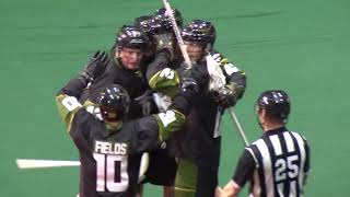 Rochester Knighthawks Highlights  030924 [upl. by Ty]