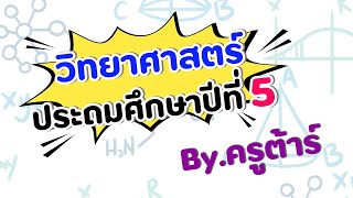 วิทยาศาสตร์ ป5ตัวอย่าง byครูต้าร์ ครูณัฐGiftedMath [upl. by Nerval]