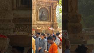 Worshipers and worshipers with devotees worshiping the Bodhi tree shakyamunibuddha india [upl. by Enywtna]