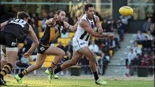 Recap the VFL Magpies big win [upl. by Anura191]