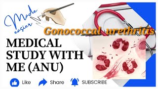 Gonococcal urethritisurogenital tract infection microbiology malayalam gonococcal urethritis [upl. by Eybbob]