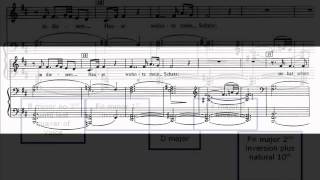 Schubert Der Doppelgänger harmonic analysis bars 1 to 33 [upl. by Alicec]