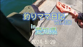 釣りママ日記vol336愛知県 [upl. by Nehttam58]