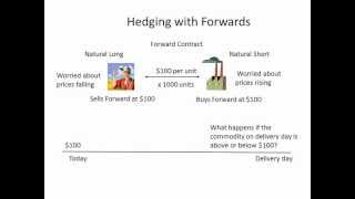 Hedging with Forwards [upl. by Bond947]