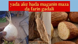 Farin gadali maganin karfin maza da yadda ake sarrafashi [upl. by Inobe]