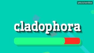 CLADOPHORA  HOW TO PRONOUNCE IT [upl. by Norrek991]