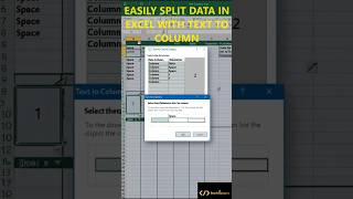 Easily Split Data in Excel with Text to Columns techtipspro [upl. by Cirdor56]